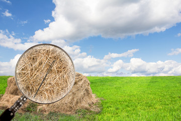 A Niche Market = More Clients ($)
