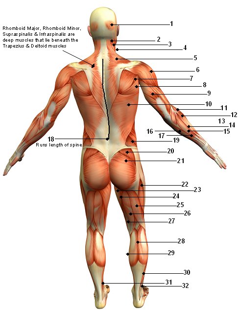How to Stretch Your Back (While Doing a Massage)